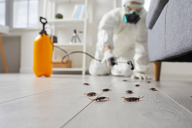 Trusted Rodent Control service in Silver Springs, FL - Nex Pest Control